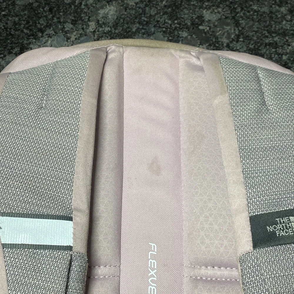 The North Face Jester Backpack Purple Grey Hiking School Travel